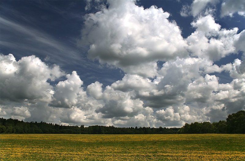 природа, пейзаж, небо Под небом голубым есть поле золотоеphoto preview