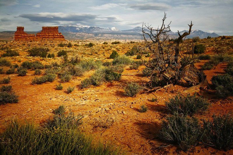 Планета бурь.photo preview