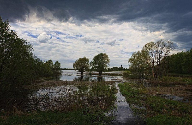 Рыбницыphoto preview