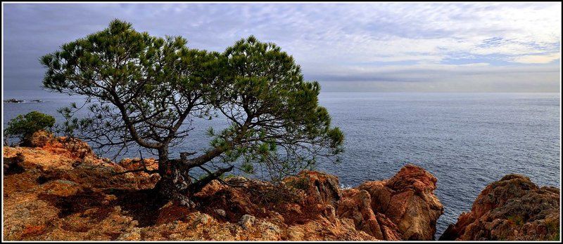 Soledadphoto preview