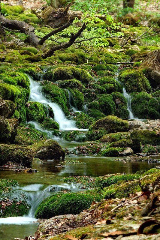 крым ***photo preview