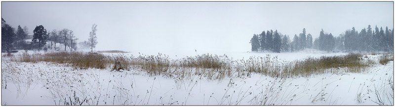 парк, выборг, зима, снег, финский, залив, пано Монрепо #2photo preview