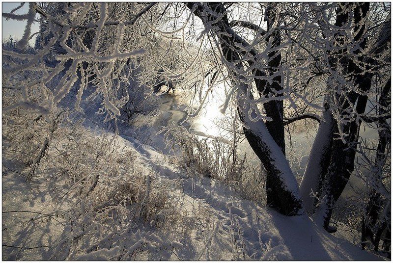 река, пахра, мороз, снег, иней, солнце Зимняя речка #2photo preview