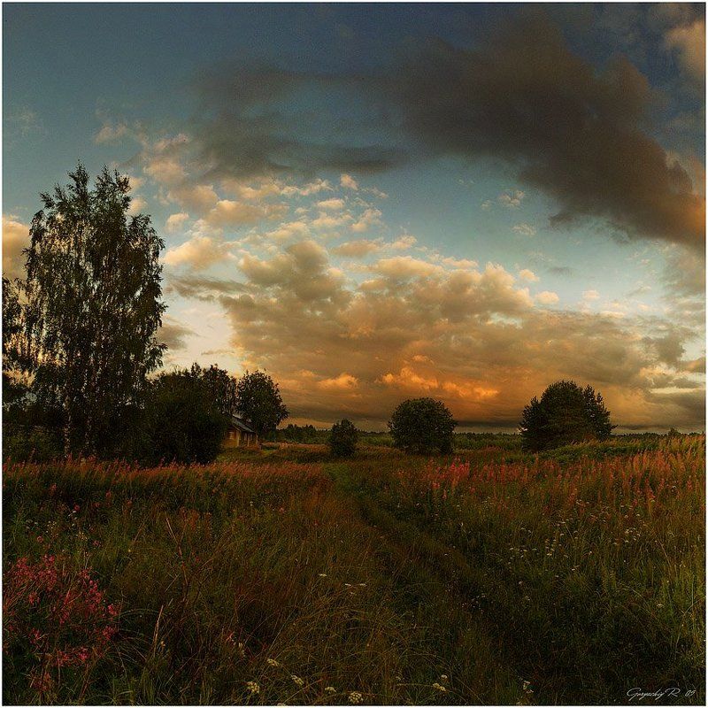 между иван-чаемphoto preview