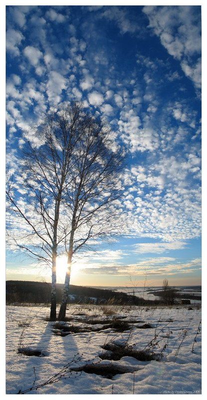 пейзаж, ока, пущино Пернатое небо ...photo preview