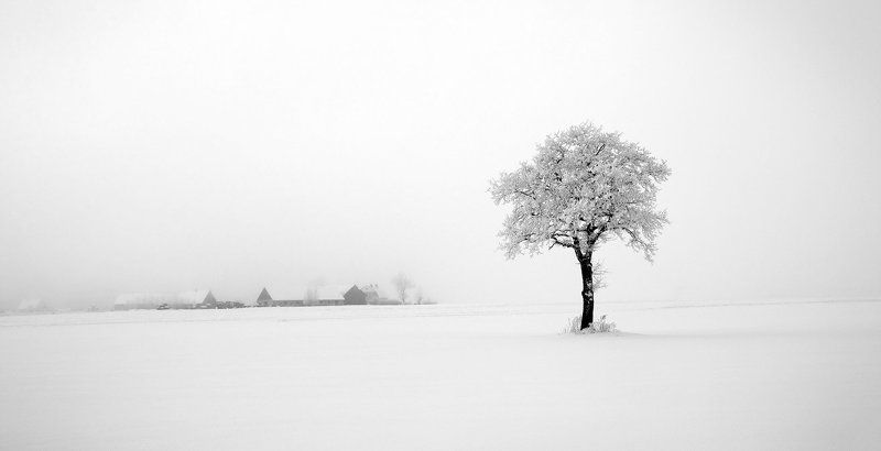 За туманом дом..photo preview