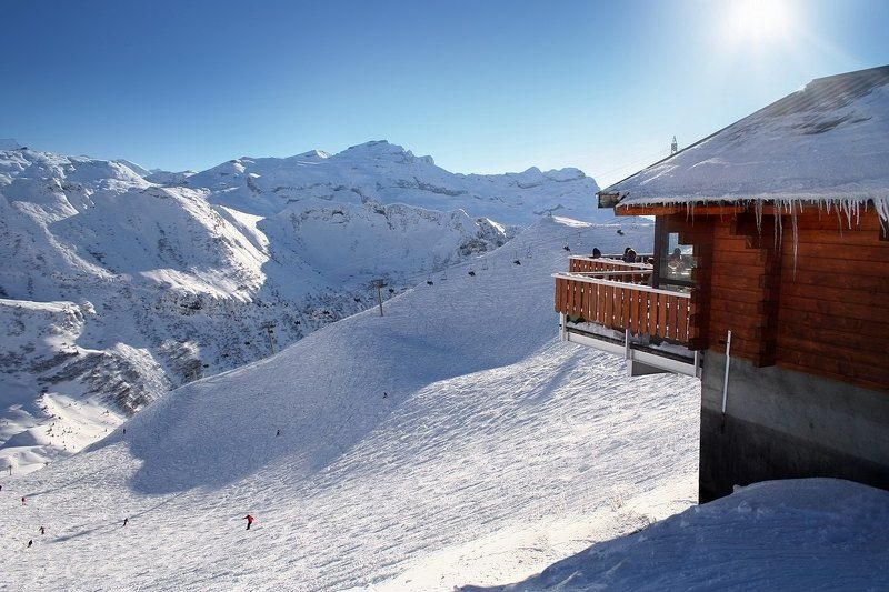 Солнечным днемphoto preview