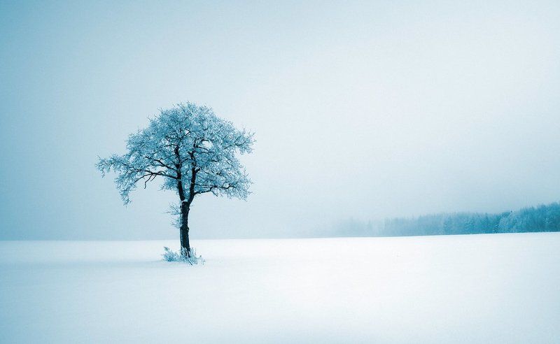 Меланхолияphoto preview