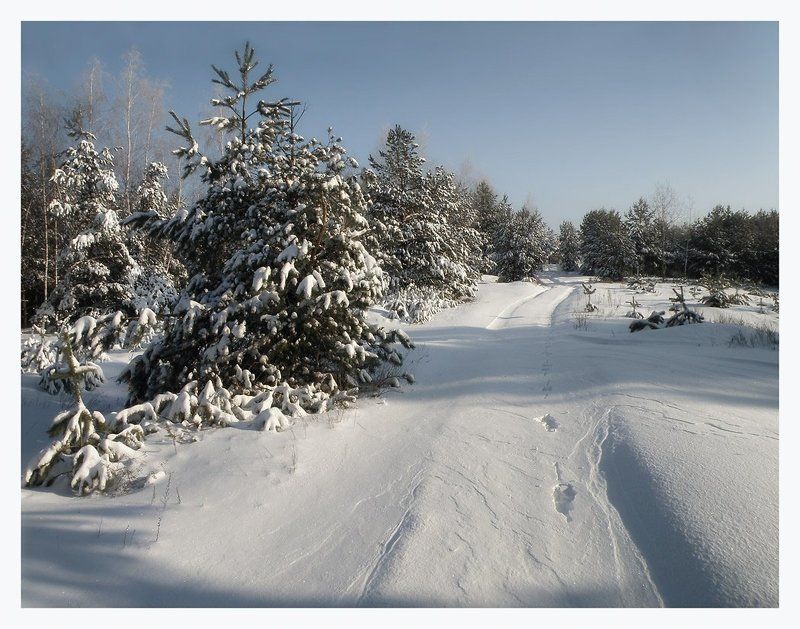 *   *    *photo preview