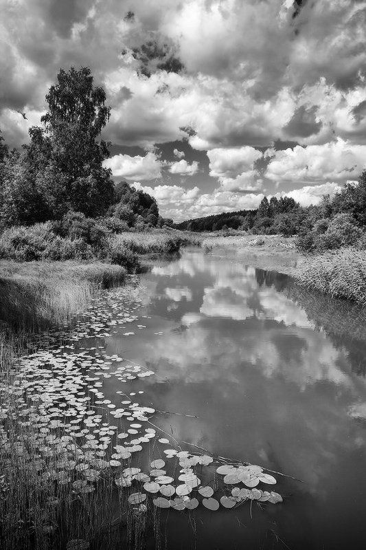 Ч/б пейзажphoto preview