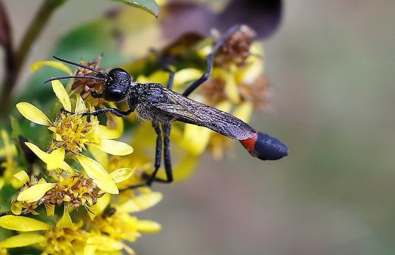 Утромphoto preview