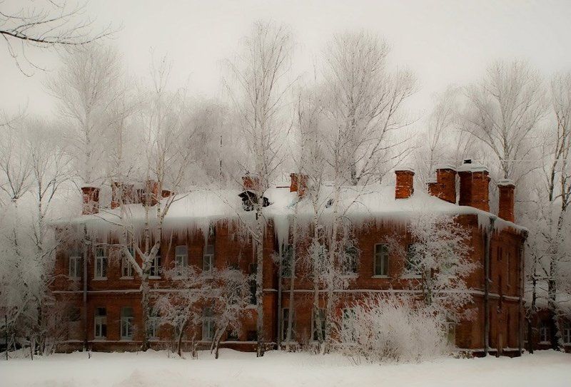 архитектура, город ,  деревья, дома,  зима, конкурс,  памятники, пейзаж, петергоф, петродворец, природа Зима в городкеphoto preview