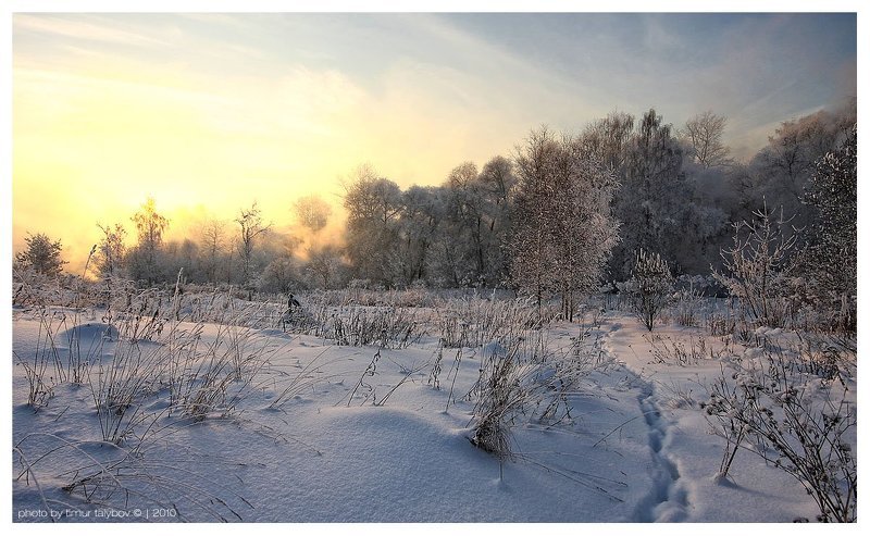 Морозная Битца...photo preview