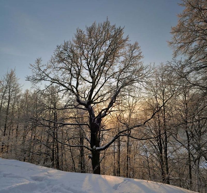 Морозphoto preview