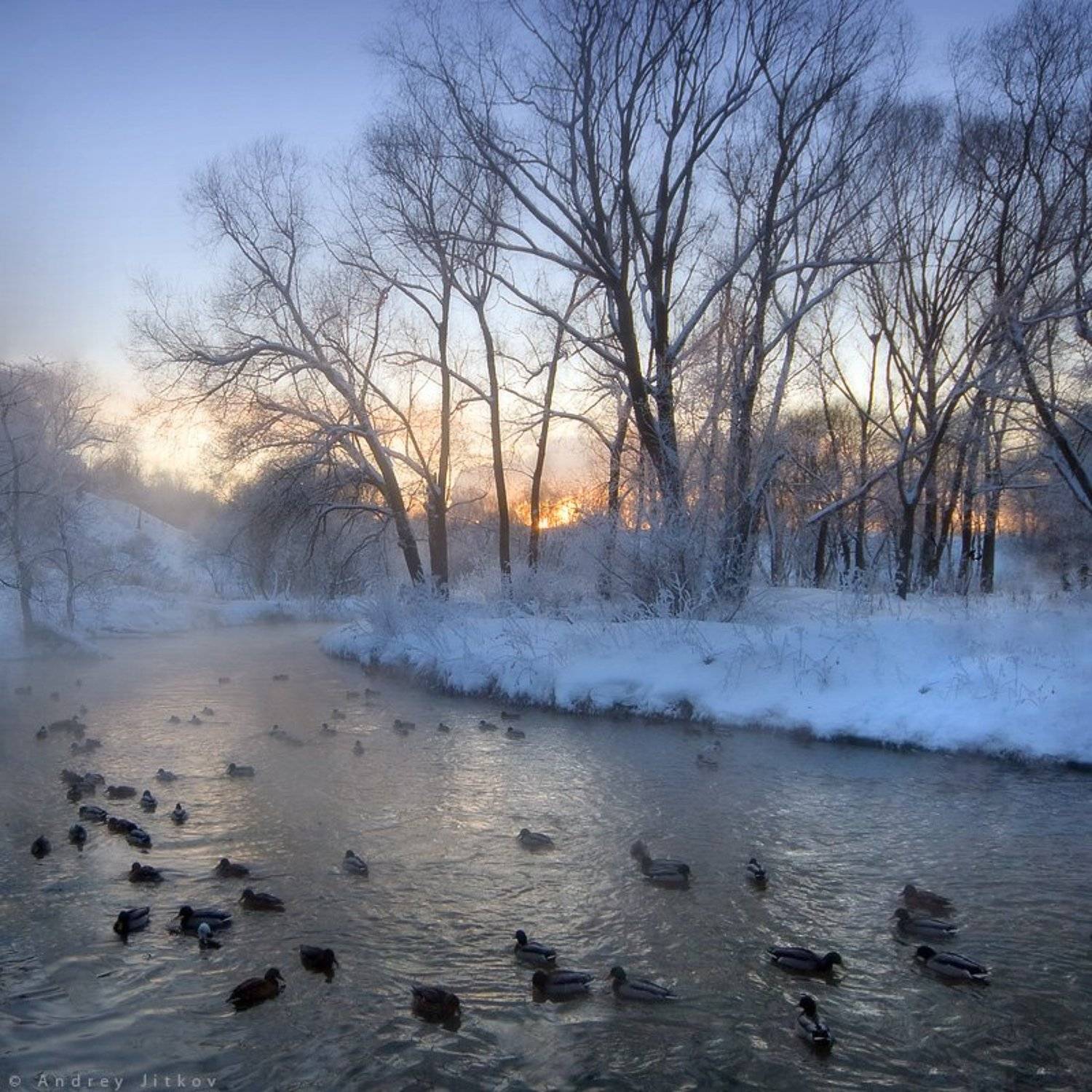 , Андрей Житков