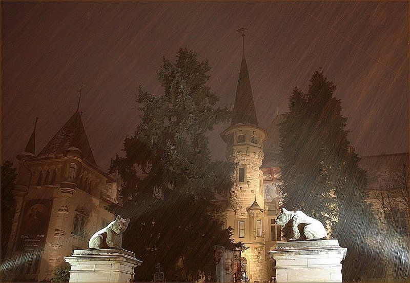 Стражникиphoto preview