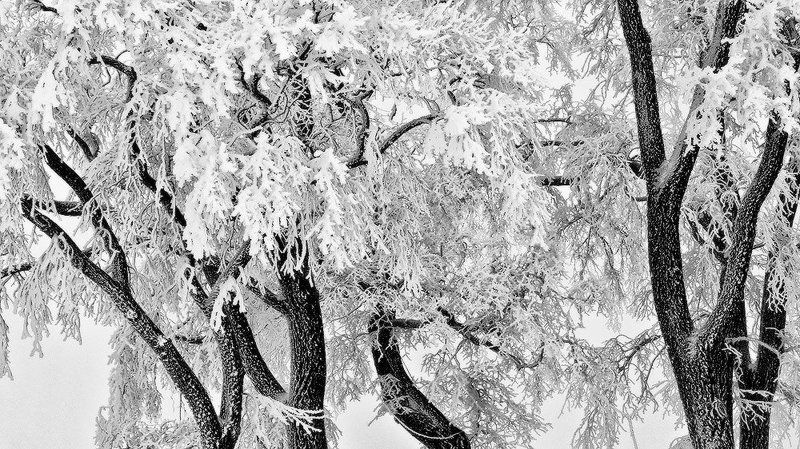 Зимние нарядыphoto preview