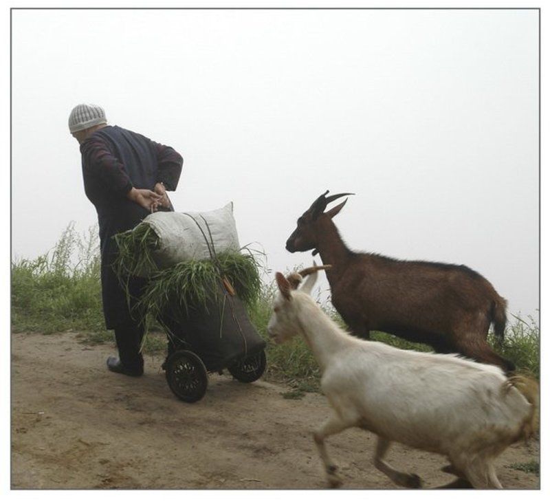 Жили у бабуси...photo preview