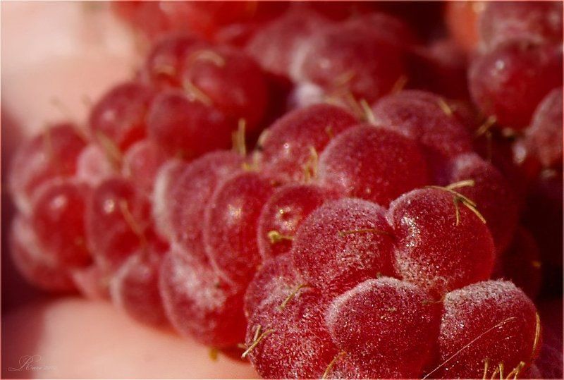 малина. Малинка.photo preview