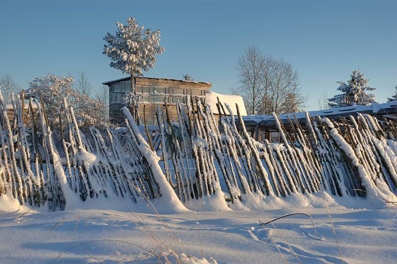 hdr, дача, деревня, деревья,  забор, зима, огород, пейзаж, природа, снег, январь Зимой на фазендеphoto preview