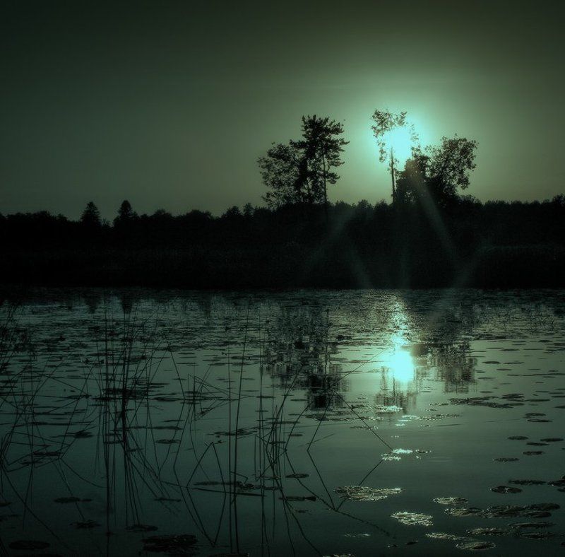 Когда клюет карасьphoto preview