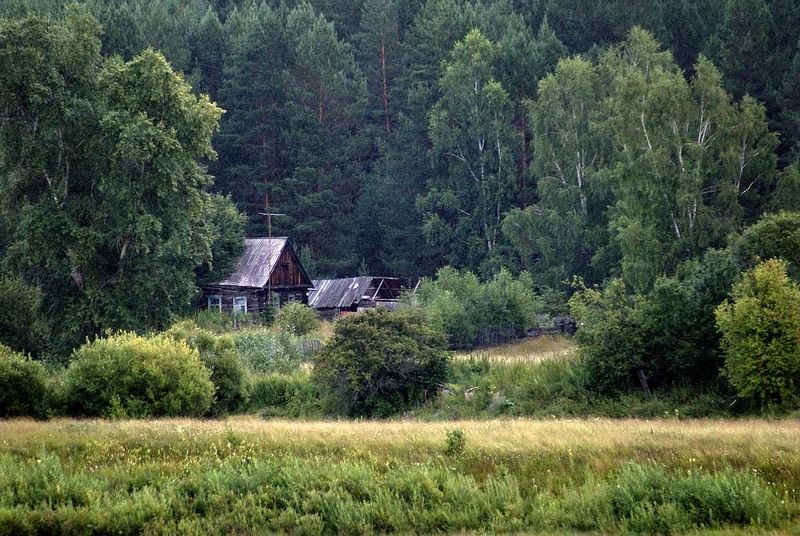 затерянные в глушиphoto preview