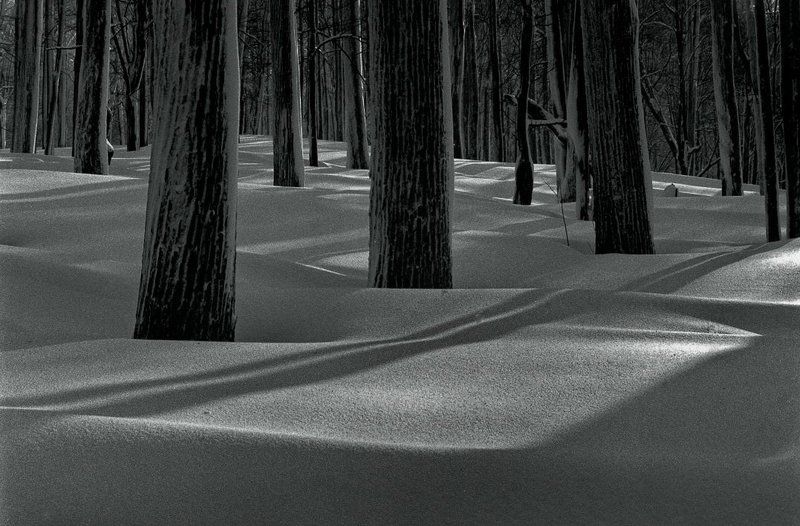 снежное царство (графика )photo preview