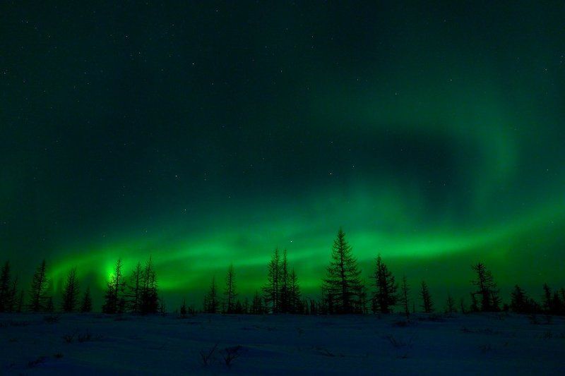 aurora borealis, северное сияние, природа, ночной пейзаж, север aurora borealis #3photo preview