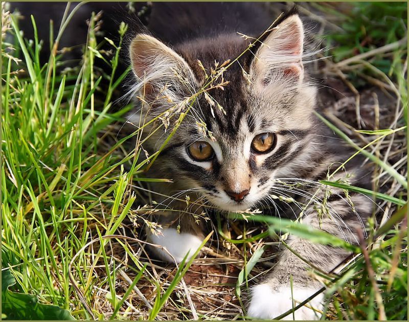 Ожиданиеphoto preview