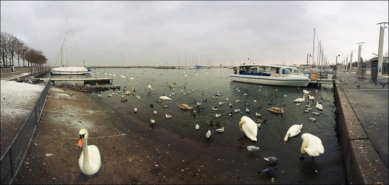 lausanne, suisse [lausanne]photo preview