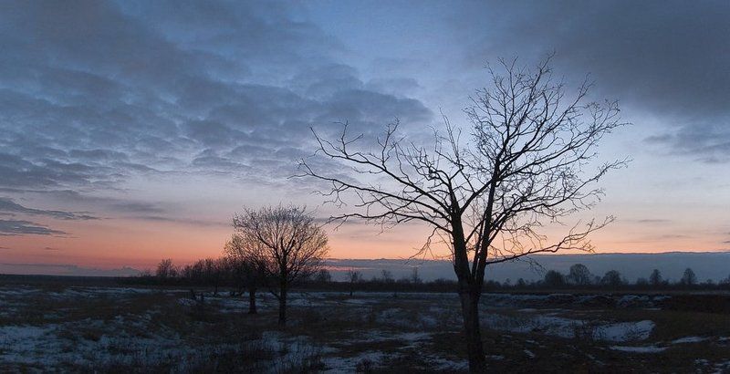 удмуртия,ноябрь,первый,снег ******photo preview