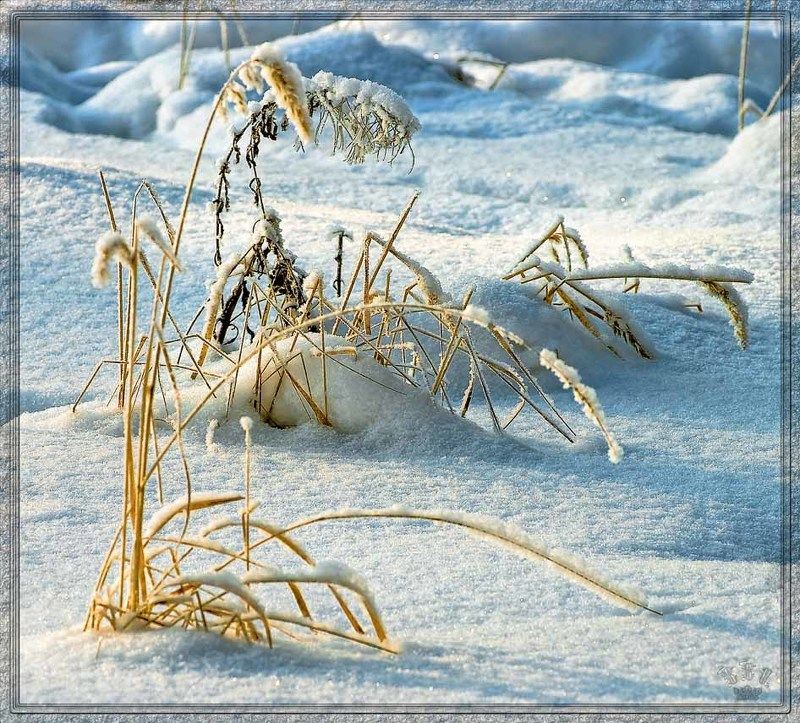 vvs, мороз ***photo preview