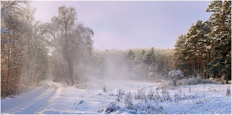 По дороге в зимний лес - 1photo preview