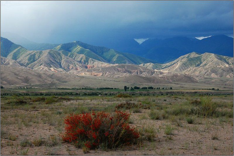 киргизия, иссык-куль, горы Разноцветная Киргизияphoto preview