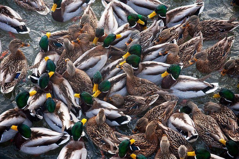 Moscow trafficphoto preview