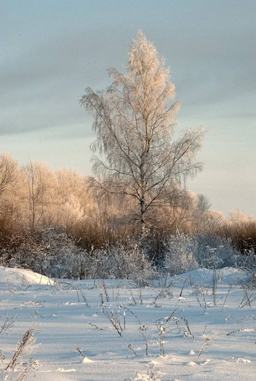 , Евгений Поздняков