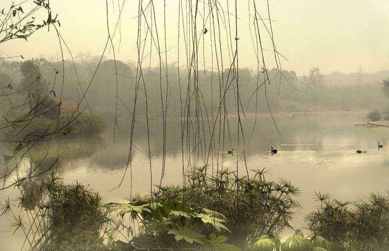 китай, озеро, туман, пейзаж тишина по-китайски...photo preview