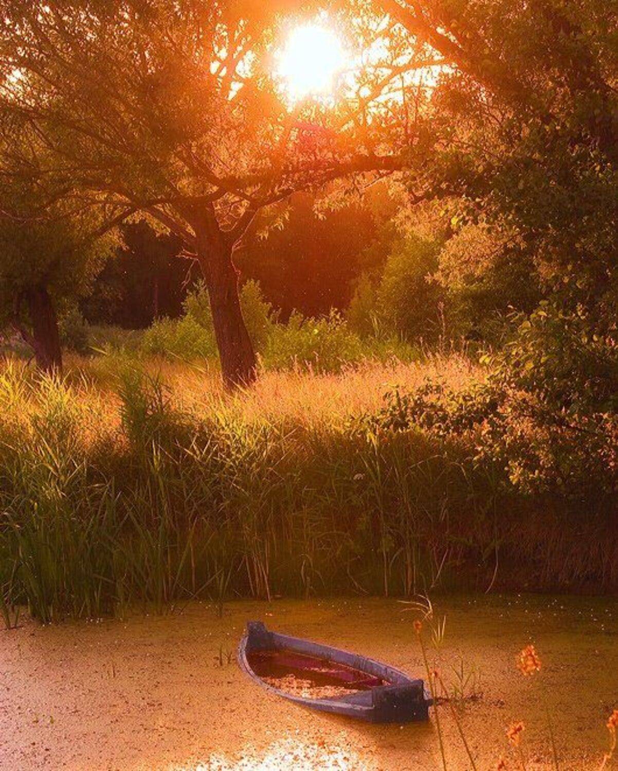 Ташань. Автор: Сергей Кутковец ташань, лодка, река, Сергей Кутковец