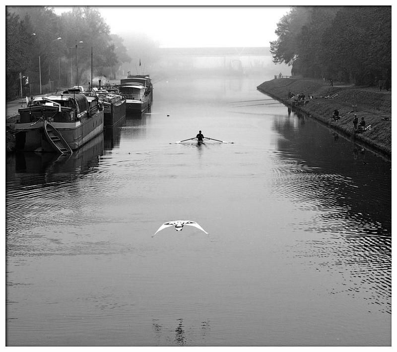 из серий вместе навсегдаphoto preview