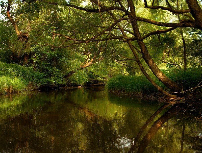 *** Течет ручей, бежит ручей.. *** фото превью