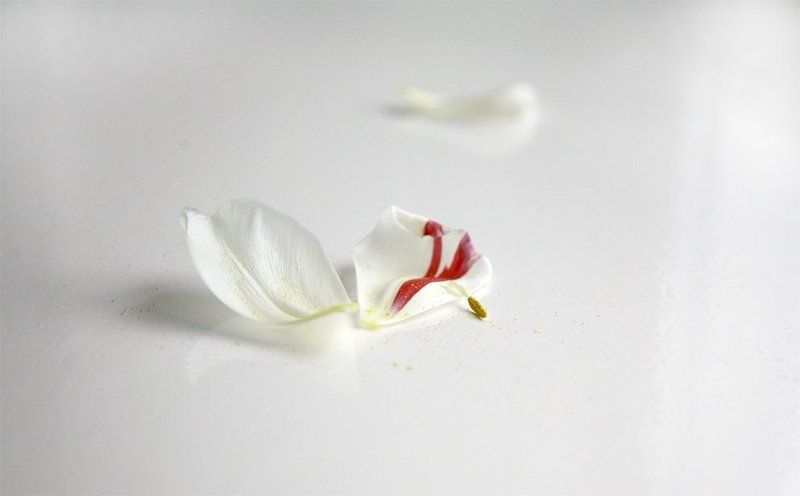 любовь, трое, лепестки, цветы, весна любовь. проверка на прочность.photo preview