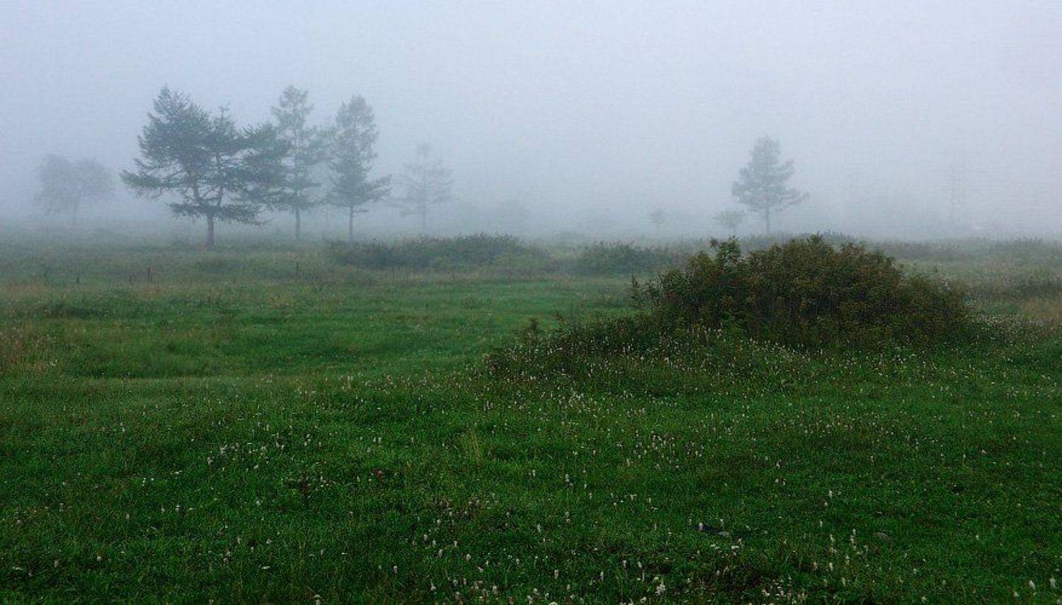 утро, туман, Виктор Бут