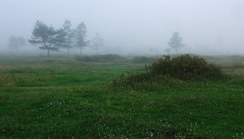 утро, туман * * *photo preview