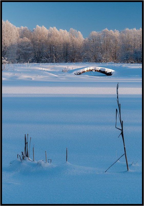 Есть в графском парке черный пруд...photo preview