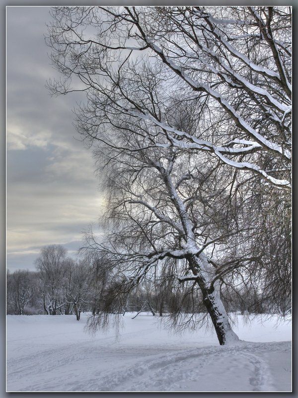 Зимний вечерphoto preview