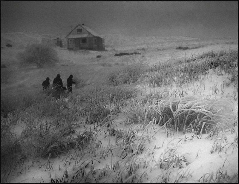 трое фото превью