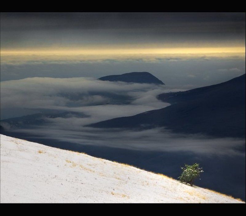 в одиночестве фото превью