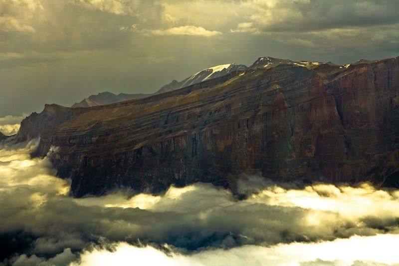 хребет...photo preview