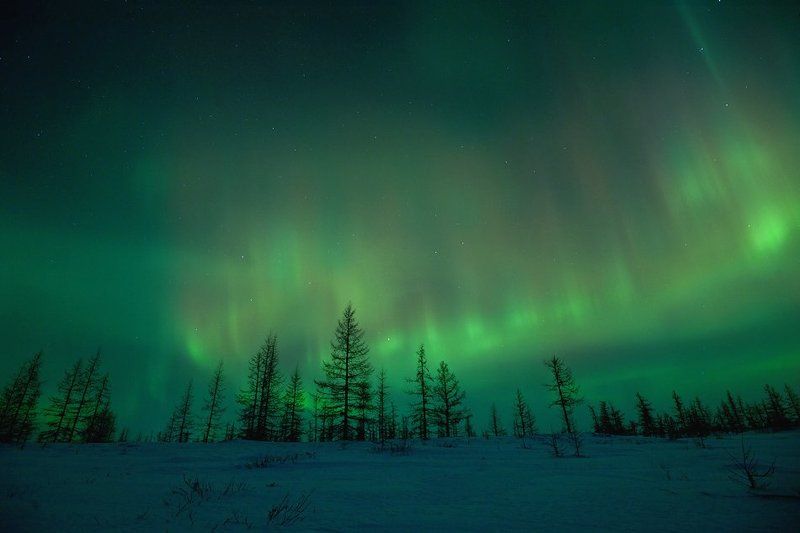 aurora borealis, северное сияние, природа, ночной пезаж, север Aurora Borealis#4photo preview