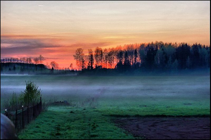 туман photo preview